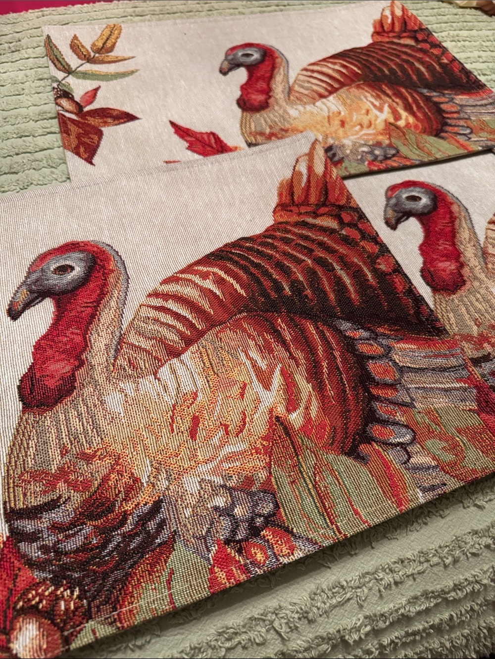 4 Turkey Table Placemats NWOT Never used
Perfect Condition